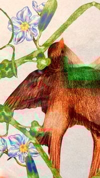 Image 3 of A Timeless Bond of Love and Remembrance