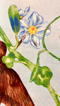 Image 4 of A Timeless Bond of Love and Remembrance