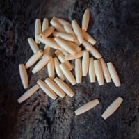 Image 3 of 1" Bone Hairpipe 10 pieces