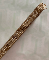 Image 2 of Seashore life and pattern a vintage King Penguin book