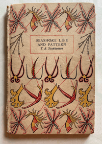 Image 1 of Seashore life and pattern a vintage King Penguin book