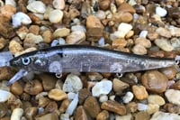 Image 2 of  Custom Airbrushed Jerkbait TA 110 2566