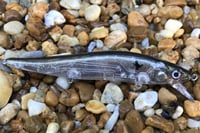 Image 3 of  Custom Airbrushed Jerkbait TA 110 2566