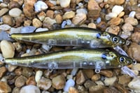 Image 3 of Custom Airbrushed Jerkbait TA 110 119