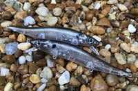 Image 5 of Custom Airbrushed Jerkbait TA 110 2800