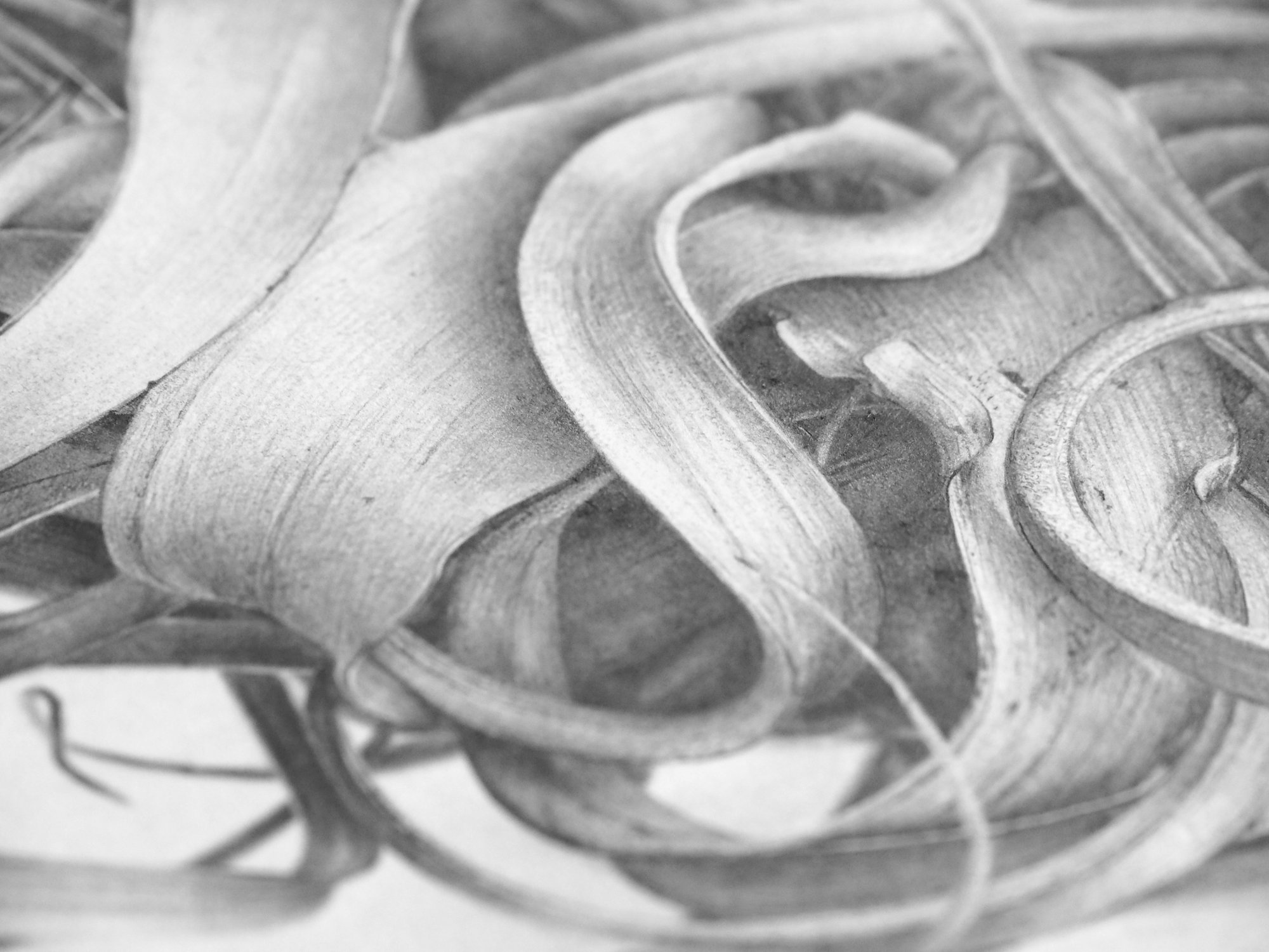 Image of Xerographica II