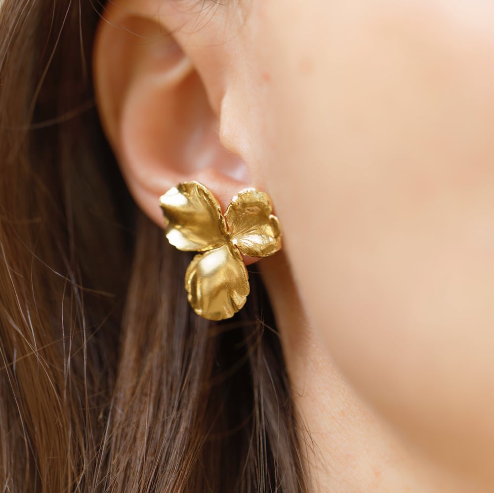 Image of Boucles d'oreilles Clémire