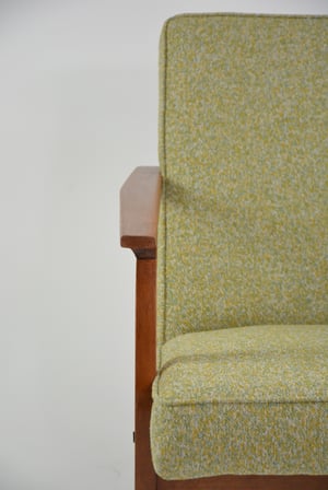Image of Fauteuil MR vert clair chiné