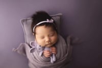 LILAC COLLECTION | BACKDROP