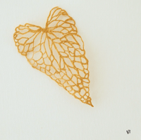 Image 1 of Feuille de bégonia – Série Herbarium de lumière