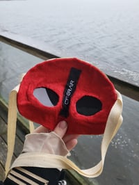 Image 2 of Demon Mask - Contaminant