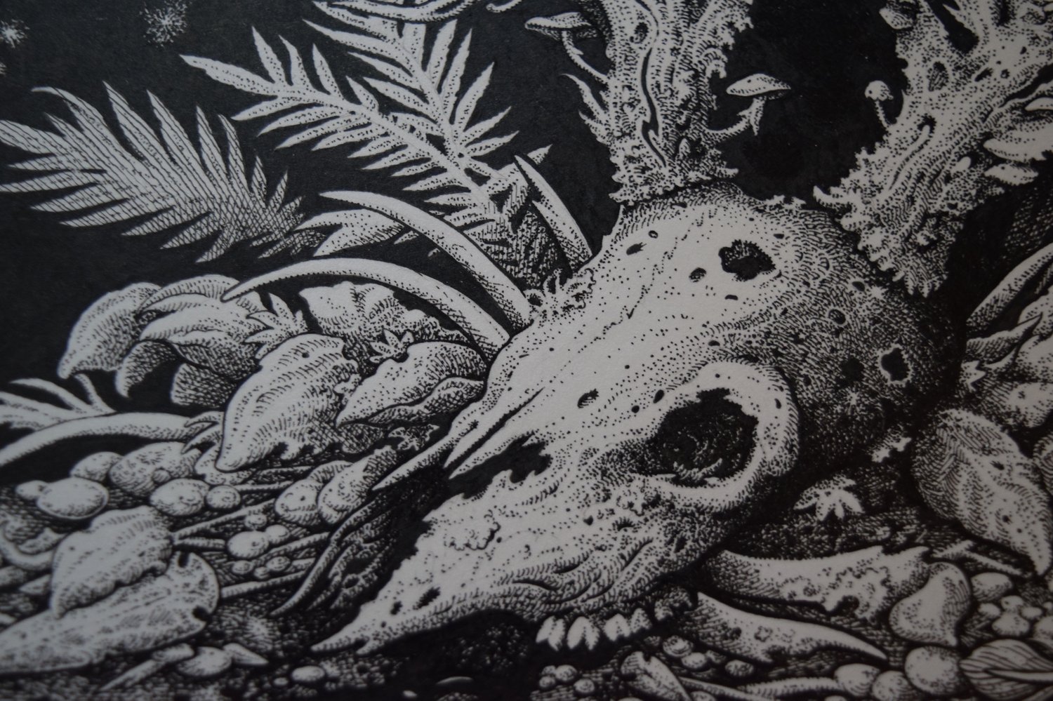 Image of Blackbraid (Twilight Stag) - Original Art