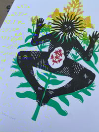 Image 4 of st john's wort print