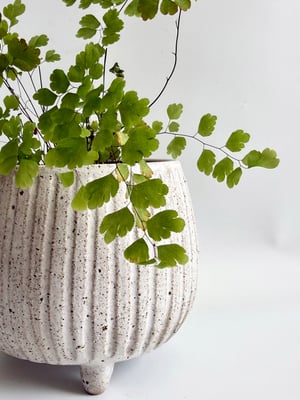 Image of Carved planter 