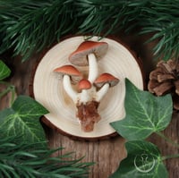 Image 2 of Fungi cluster necklace