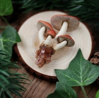 Image 3 of Fungi cluster necklace