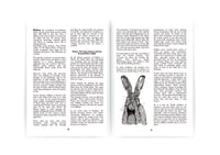 Image 3 of Samhain Special - Folklore of the Seasons