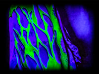 Image 5 of ToxicC II UV 3XLT
