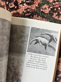 Image 2 of In Search of Lake Monsters