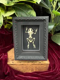 BLACKOUT FROG SKELETON