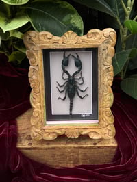 ORNATE WOODEN SCORPION