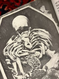 Image 3 of Supernatural Cornwall