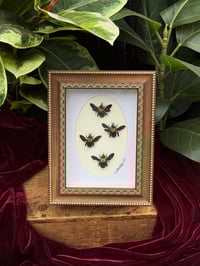BOHO CARPENTER BEES