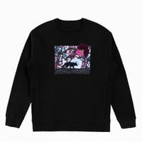 Image 1 of The Wolf's Garden