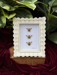 WHITE ORNATE FRAMED GOLDEN CARPENTER BEES