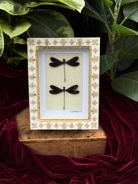 WHITE / GOLD DAMSELFLY DUO