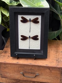 EMBOSSED DAMSELFLY BOX