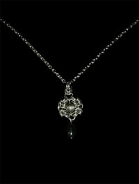 Image 1 of Bloom (Various)