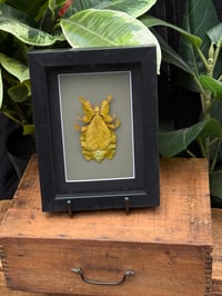 YELLOW LEAF INSECT BOX