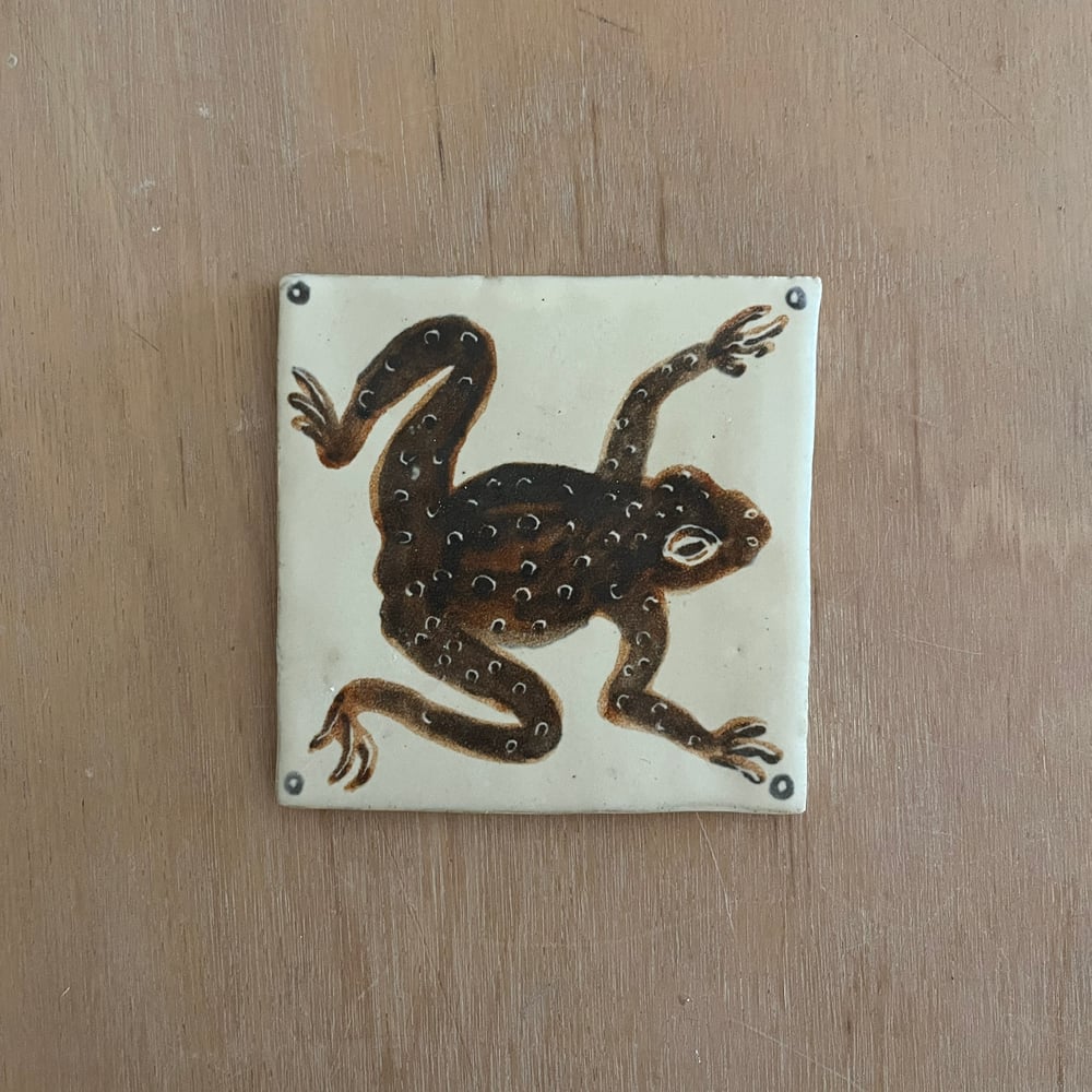 Frog 1
