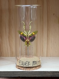 FLOWER MANTIS VIAL
