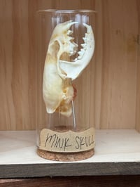 MINK SKULL VIAL