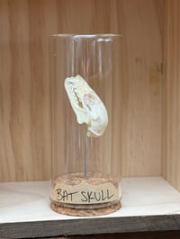 BAT SKULL VIAL