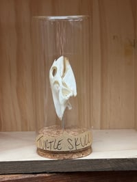 TURTLE SKULL VIAL 