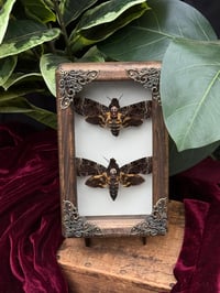 HANDCRAFTED WOODEN - DEATH HEAD DUO