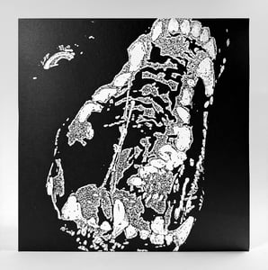 Image of CADAVER DOG "BARBARIC NATURE" LP TEST PRESS