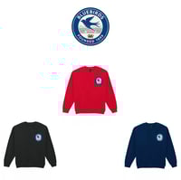 Image 2 of Cardiff City Fan Sweatshirt / Collared Jersey |"The Bluebirds" Sweatshirt / Collared Jersey | 