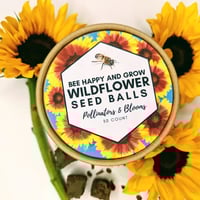 Bee Wildflowers seed balls - easy to grow pollinator garden