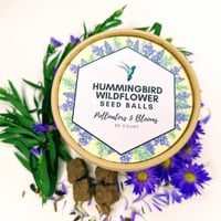Hummingbird Wildflower Seed balls 30 count