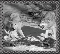 Sacred Dominions / Hadak Ura - split Digipak CD