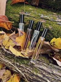 Image 2 of R/I/L/E - 4 x 10ml Limited Edition Box Set