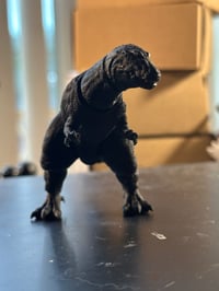 Image 6 of UnAtomic Reptile: Figure