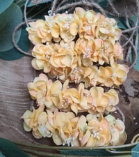 Image 3 of mini halo Soleil 