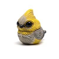 Image 2 of Chubby Bird: Long-Tailed Silky-Flycatcher