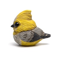 Image 1 of Chubby Bird: Long-Tailed Silky-Flycatcher