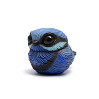 Image 2 of Chubby Bird: Splendid Fairywren